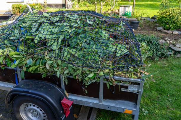 Best Same-Day Junk Removal Services  in Waltham, MA
